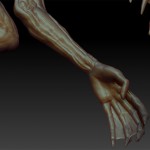 NewLvL_forearm_under